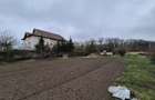 Tartasesti, Gulia, str. Codrului - 2