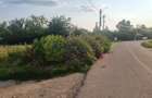 VANZARE TEREN 2150 MP IN SAT TEISORI (GR) - 3