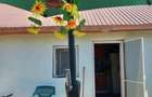 Casa de vanzare, 64.30 mp, Lacrita Mare - 18 km de Craiova - 3