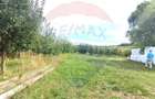 Proprietate specială, de 3,100 mp, în Măieruș - 16