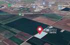 Teren Construcții intravilan de 25000 mp, în Sud - 4