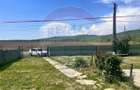 Casa / Vila cu 4 camere de vanzare - 10