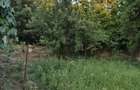 Casă cu 3 camere în Titu - 2