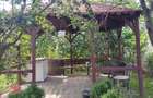 PROPRIETAR: Vila 5 Camere Pantelimon | P+1 (210 mp) + M | Oportunitate - 8