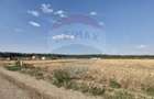 Teren Construcții intravilan de 3261 mp, în Balotești - 2