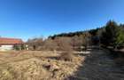Teren Intravilan intre Savadisla si Finisel, 1250 mp, jud. Cluj - 2