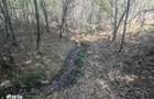Teren extravilan Loc. Valea Mare, jud. Valcea - 5