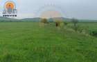 Teren Construcții intravilan de 47700 mp, în Hărman - 5