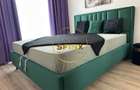 Apartament cu 2 camere decomandat în Basarabia - 4