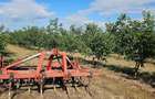 Vanzare plantatie/ferma de nuci, 2000 pomi, 14ha, Prahova - 7