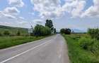 Teren intravilan de 7800 mp, în Dobârlău - 3