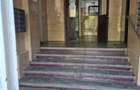 Garsoniera / Teiul Doamnei - 6