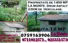 Proprietate la Munte. Casuta 11 MP., Teren 1400 MP, Drum Asfalt 20 KM de Herculane - 3