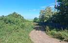 Teren agricol 1000mp, acces asfaltat, 35.000 EUR - 3