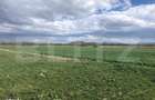 De vanzare teren extravilan 50.000 mp - 1