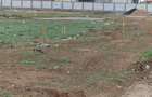 teren MANGALIA intravilan - 4