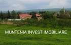 Proprietate de vanzare tip ferma, teren 28150 mp. Balilesti, Arges - 2