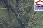 3600 mp teren intravilan, sat Bistrita, 12 Euro mp - 6