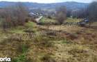 Teren de vanzare in comuna Valea Iasului, jude? Arge?. - 9