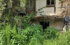 Domeniu verde autentic, +5.000mp, front la DJ, Valcele, Brasov -- Cov - 3