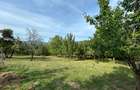 Teren Construcții intravilan de 8000 mp, în Gura Beliei - 4