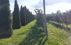 Teren de 3600 mp, în Bosanci - 3