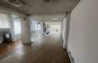 Spațiu comercial, de 300 mp, în Valea Rosie - 4