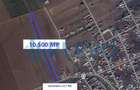 Teren intravilan de 10500 mp, în Nicolae Bălcescu - 15