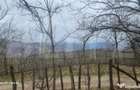 TEREN INTRAVILAN VEDERE PANORAMICA La 2 km de Manastirea CRA - 6