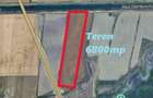 Teren extravilan intre Glina si Balaceanca 6800mp - 1