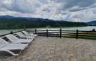 Cabana cu accesc la lac, 1400mp teren Colibita - 19