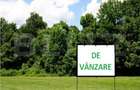 Teren extravilan - 3000 mp, front 150 ml - zona Salcea - SV - 1