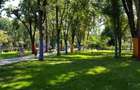 2 CAMERE | Frederic Chopin | Parc Floreasca - 1