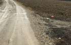 Vand Teren Hemeiusi sat Liliecipe strada prelungirea crinului - 6