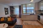 Apartament cu 2 camere decomandat în Herăstrău - 9