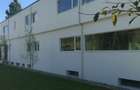 Spatiu de inchiriat, 4 camere open space , langa padure - 8