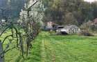 Casa si 3919 mp teren intravilan  in  Bucuresci, jud. Hunedoara - 7
