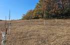 Teren de 5400 mp, în Șpring - 7