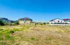 OPORTUNITATE INVESTITIE | TEREN VOLUNTARI | MATEI MILLO | 2680 MP - 1