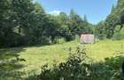 Teren la munte, Tarcau- Piatra Neamt - 1