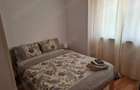Apartament cu 2 camere decomandat în Șagului - 1