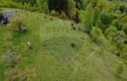 Teren 38,704mp Sirnea | 2.000 mp Intravilan | 36,704 Extravilan - 6