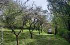 Teren de vanzare extravilan Cisnadioara/Rasinari - 3