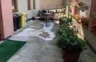 Spatiu comercial 280 mp Parter + Demisol - Str Tipografiei - 8