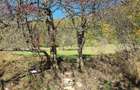 Teren agricol de 9000 mp, în Babarunca - 9