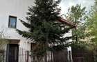 Vila de inchiriat, 5 camere, garaj, mansarda open space - 6