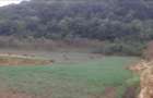 Vand teren intravilan foarte mare, 6700m2 in loc. Buceava, Com. Gurahont - 1