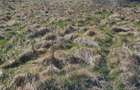 Teren de 1850 mp, în Ghilad - 10