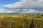 Vanzare casa cu teren intravilan ?i panorama, Valea Calugareasca - 4
