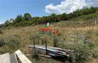Teren Construcții intravilan de 600 mp, în Cetate - 4